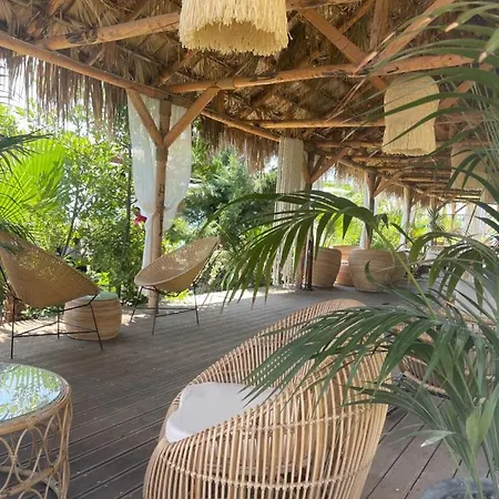 Enti - Africana Apartament