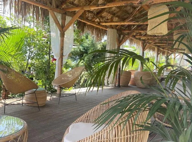 Enti - Africana Lejlighed